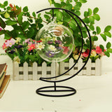 Creative Wishing Bottle Luminous Glass Bottle