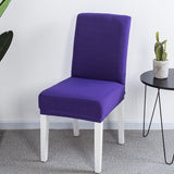 Solid color elastic one-piece chair cover restaurant hotel hotel custom cover cover household conference universal chair cover stool