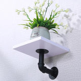 Coffee Shop Background Wall Green Plant Rack