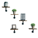 Coffee Shop Background Wall Green Plant Rack