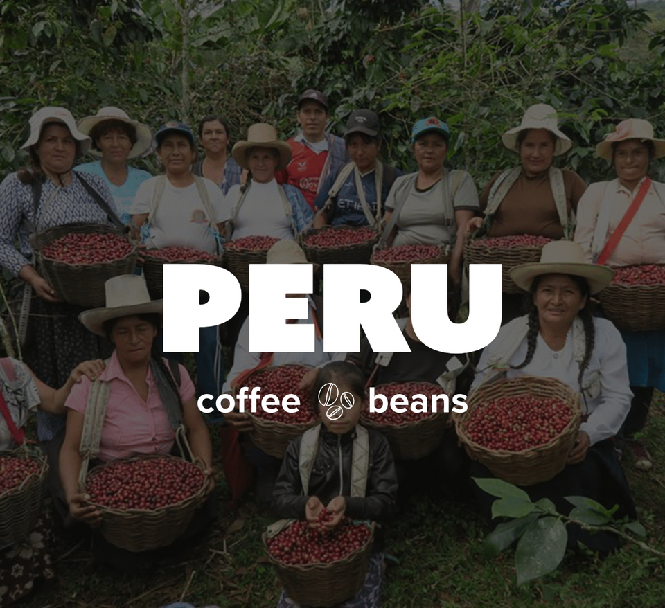 K-Cups Coffee Flavored & Nonflavored Organic Supreme Finest Premium American Espresso Breakfast Cold Brew House Vanilla Chocolate Hazelnut Pumpkin French Vanilla Ethiopia Colombia Sumatra Brazil more