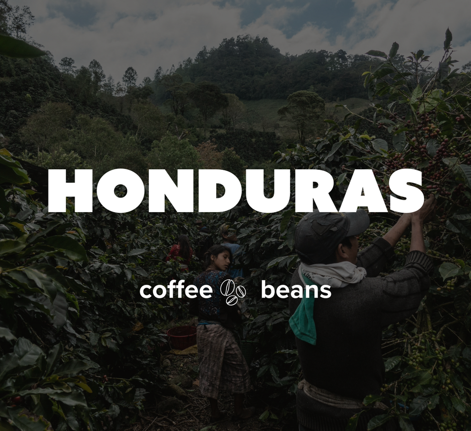 K-Cups Coffee Flavored & Nonflavored Organic Supreme Finest Premium American Espresso Breakfast Cold Brew House Vanilla Chocolate Hazelnut Pumpkin French Vanilla Ethiopia Colombia Sumatra Brazil more