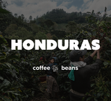 K-Cups Coffee Flavored & Nonflavored Organic Supreme Finest Premium American Espresso Breakfast Cold Brew House Vanilla Chocolate Hazelnut Pumpkin French Vanilla Ethiopia Colombia Sumatra Brazil more