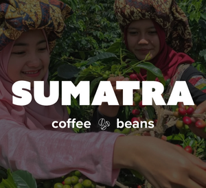 16 OZ Specialty Whole Bean and Ground Coffee Supreme Finest Artisan for Drips Cold Brew Espresso French Press Dark Medium Light Roast from Vanuatu Sumatra Ethiopia Brazil Kenya Colombia Guatemala Burundi Costa Rica East Java El Salvador Honduras etc