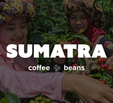 K-Cups Coffee Flavored & Nonflavored Organic Supreme Finest Premium American Espresso Breakfast Cold Brew House Vanilla Chocolate Hazelnut Pumpkin French Vanilla Ethiopia Colombia Sumatra Brazil more