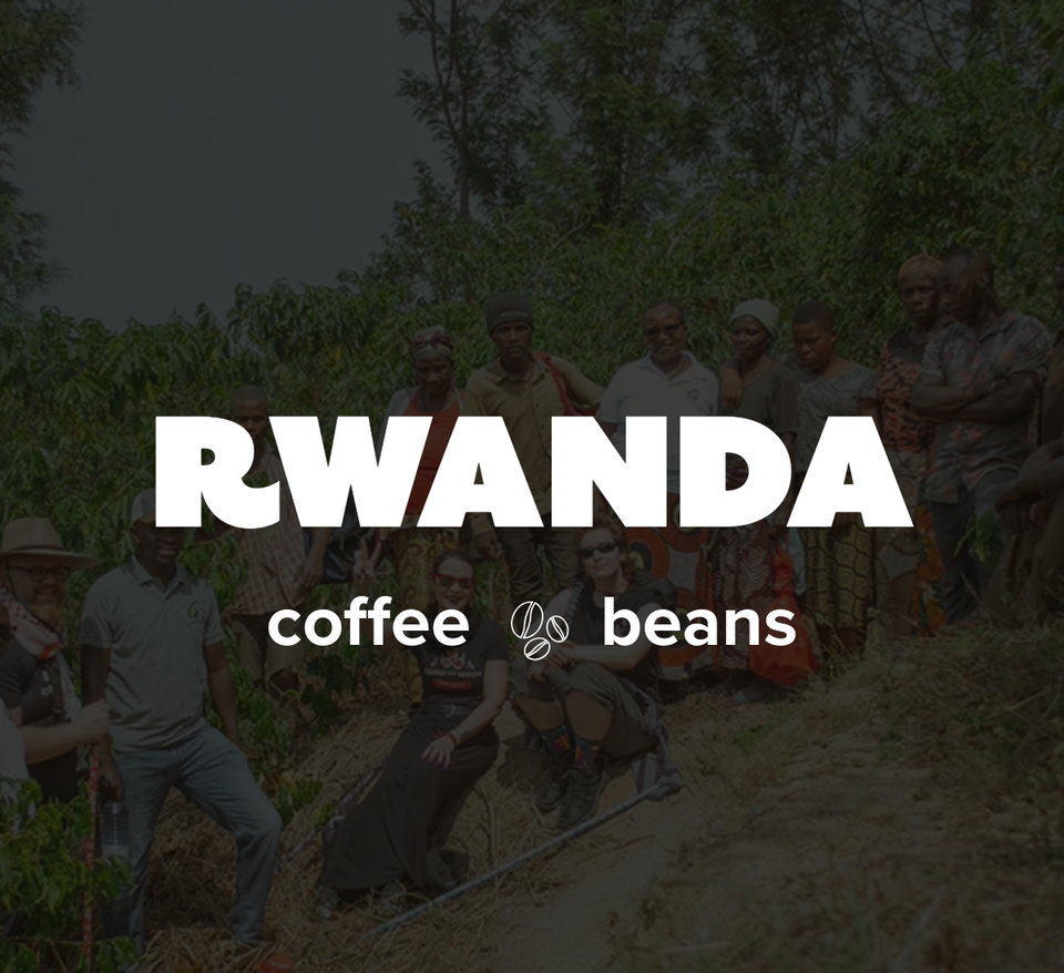 K-Cups Coffee Flavored & Nonflavored Organic Supreme Finest Premium American Espresso Breakfast Cold Brew House Vanilla Chocolate Hazelnut Pumpkin French Vanilla Ethiopia Colombia Sumatra Brazil more