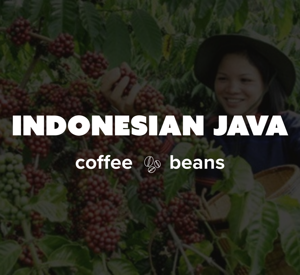 K-Cups Coffee Flavored & Nonflavored Organic Supreme Finest Premium American Espresso Breakfast Cold Brew House Vanilla Chocolate Hazelnut Pumpkin French Vanilla Ethiopia Colombia Sumatra Brazil more