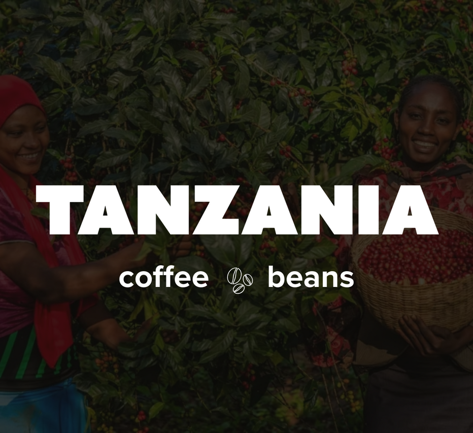 K-Cups Coffee Flavored & Nonflavored Organic Supreme Finest Premium American Espresso Breakfast Cold Brew House Vanilla Chocolate Hazelnut Pumpkin French Vanilla Ethiopia Colombia Sumatra Brazil more