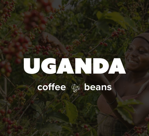 K-Cups Coffee Flavored & Nonflavored Organic Supreme Finest Premium American Espresso Breakfast Cold Brew House Vanilla Chocolate Hazelnut Pumpkin French Vanilla Ethiopia Colombia Sumatra Brazil more