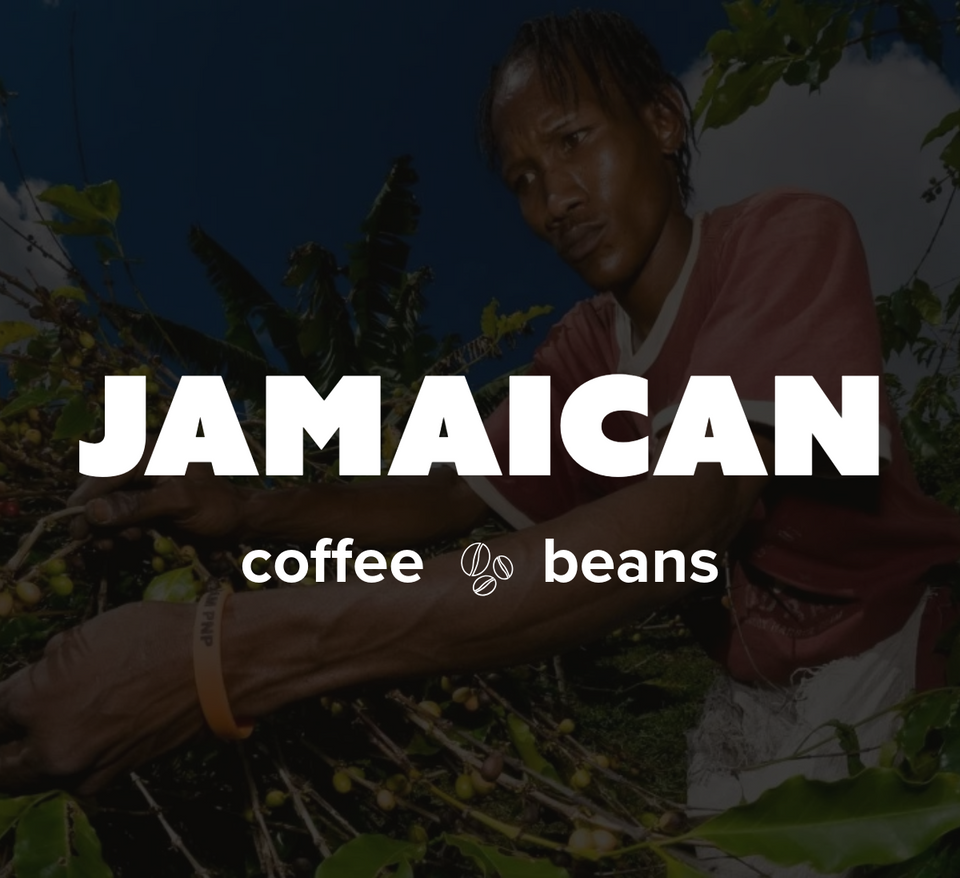 K-Cups Coffee Flavored & Nonflavored Organic Supreme Finest Premium American Espresso Breakfast Cold Brew House Vanilla Chocolate Hazelnut Pumpkin French Vanilla Ethiopia Colombia Sumatra Brazil more