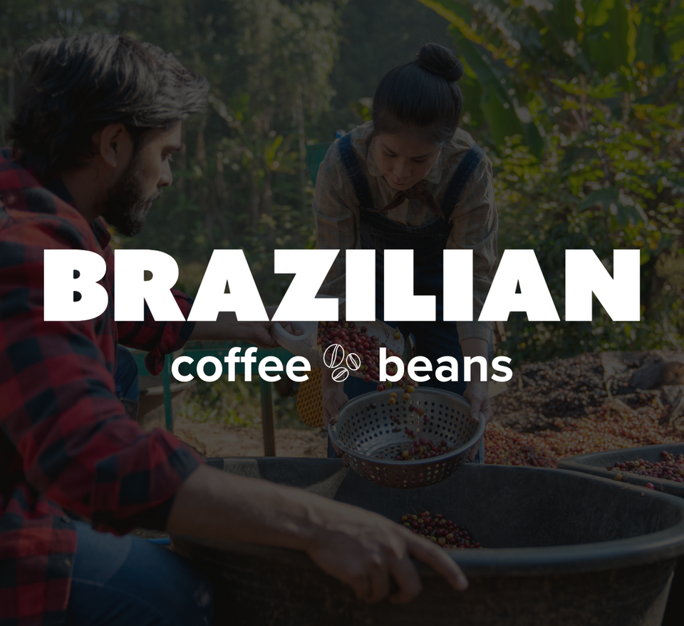 K-Cups Coffee Flavored & Nonflavored Organic Supreme Finest Premium American Espresso Breakfast Cold Brew House Vanilla Chocolate Hazelnut Pumpkin French Vanilla Ethiopia Colombia Sumatra Brazil more