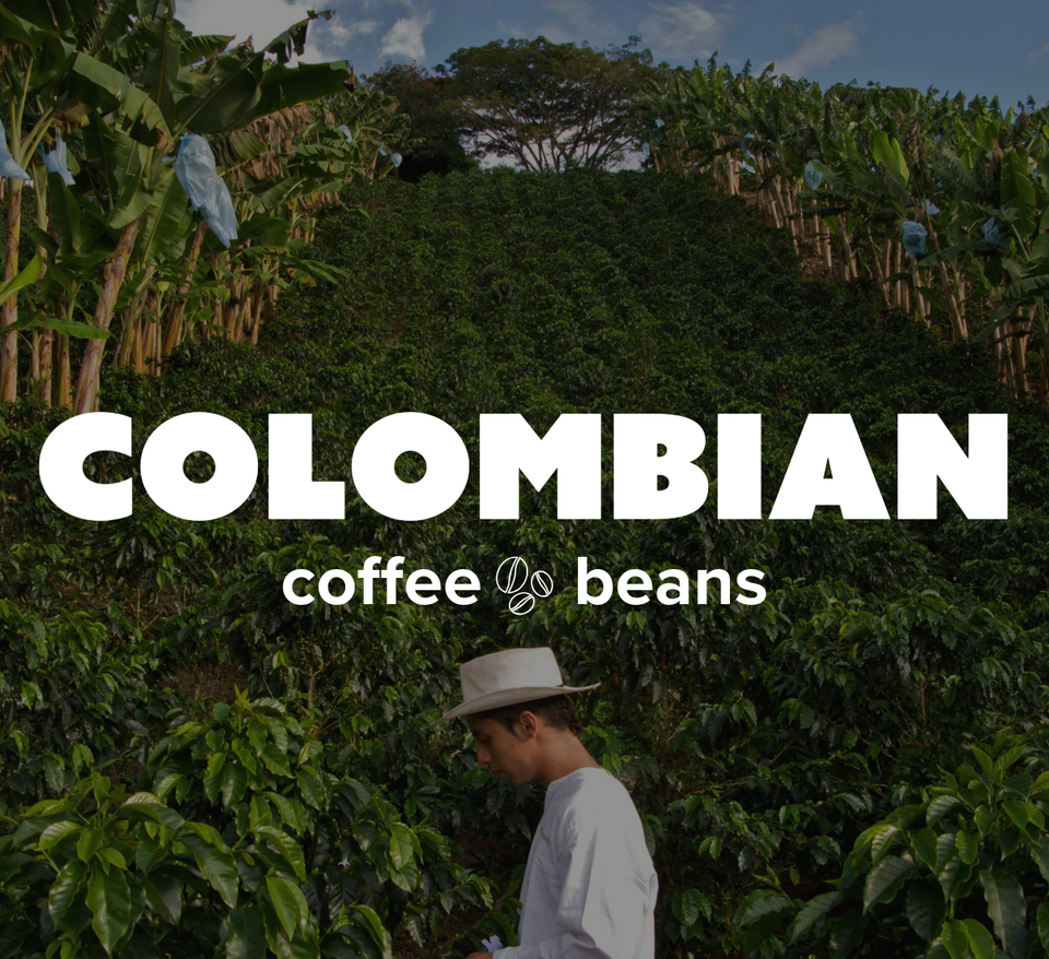 K-Cups Coffee Flavored & Nonflavored Organic Supreme Finest Premium American Espresso Breakfast Cold Brew House Vanilla Chocolate Hazelnut Pumpkin French Vanilla Ethiopia Colombia Sumatra Brazil more