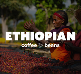 Volcanic Cult 12 oz Ground Coffee Variety Pack - Flavored & Unflavored Arabica (Espresso, Breakfast, Cold Brew, House, Vanilla, Hazelnut, Pumpkin)