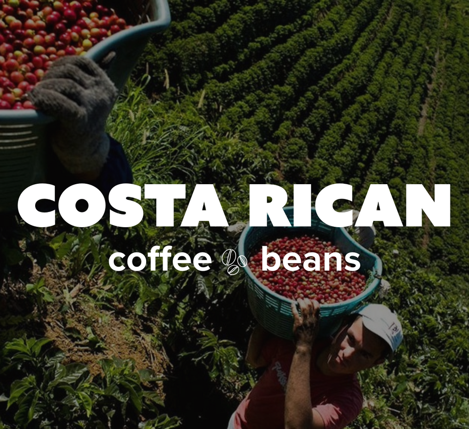 K-Cups Coffee Flavored & Nonflavored Organic Supreme Finest Premium American Espresso Breakfast Cold Brew House Vanilla Chocolate Hazelnut Pumpkin French Vanilla Ethiopia Colombia Sumatra Brazil more