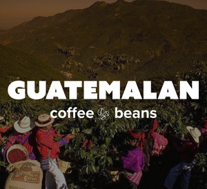 32 OZ 2LB Specialty Whole Bean and Ground Coffee Supreme Finest Artisan for Drips Cold Brew Espresso French Press Dark Medium Light Roast from Vanuatu Sumatra Ethiopia Brazil Kenya Colombia Guatemala Burundi Costa Rica East Java El Salvador Honduras etc