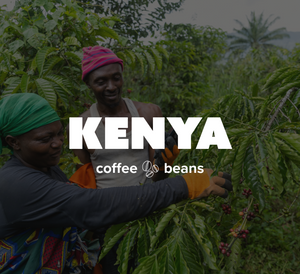 12 OZ Coffee Flavored & Nonflavored Organic Supreme Finest Premium American Espresso Breakfast Cold Brew House Vanilla Chocolate Hazelnut Pumpkin French Vanilla Ethiopia Colombia Sumatra Brazil more