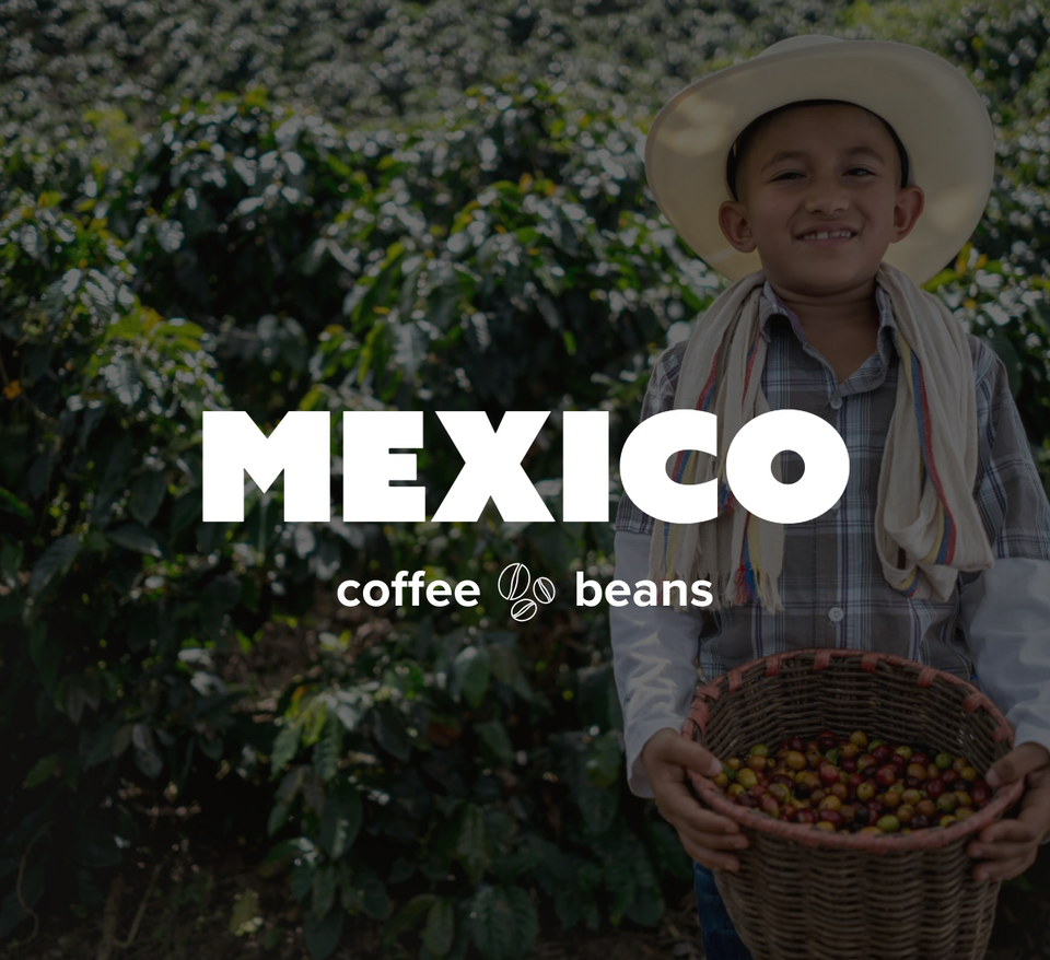 K-Cups Coffee Flavored & Nonflavored Organic Supreme Finest Premium American Espresso Breakfast Cold Brew House Vanilla Chocolate Hazelnut Pumpkin French Vanilla Ethiopia Colombia Sumatra Brazil more