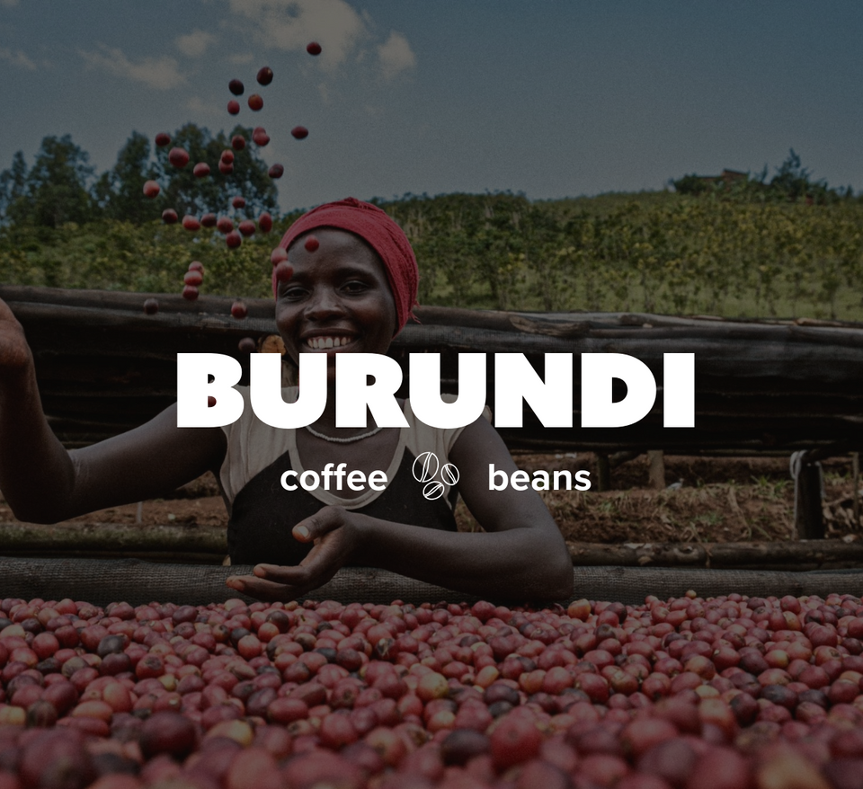 K-Cups Coffee Flavored & Nonflavored Organic Supreme Finest Premium American Espresso Breakfast Cold Brew House Vanilla Chocolate Hazelnut Pumpkin French Vanilla Ethiopia Colombia Sumatra Brazil more