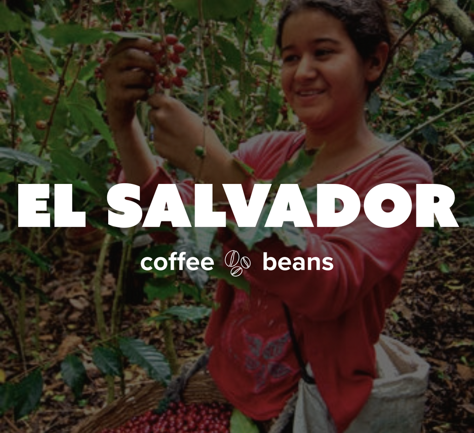 K-Cups Coffee Flavored & Nonflavored Organic Supreme Finest Premium American Espresso Breakfast Cold Brew House Vanilla Chocolate Hazelnut Pumpkin French Vanilla Ethiopia Colombia Sumatra Brazil more