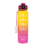 Sports Frosted Gradient Water Bottle