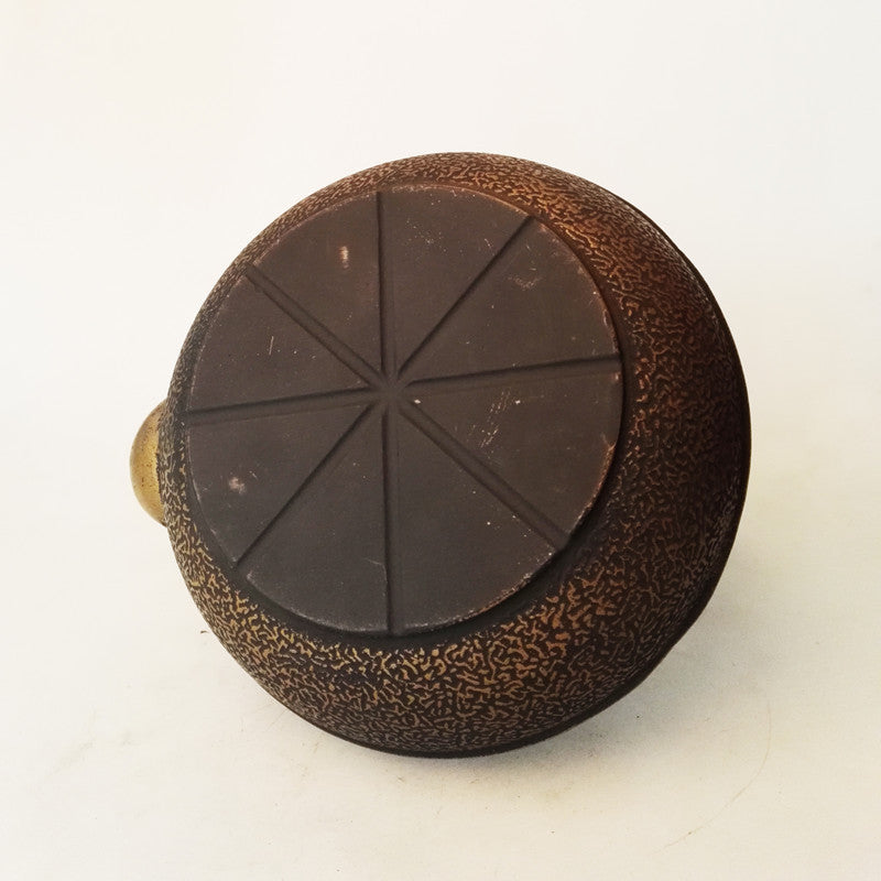 Cast iron kettle for tea