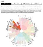 LIGHT ROAST WHOLE BEAN COFFEE SPECIALTY Volcanic Cult Vanuat Organic Supreme Finest Artisan beans. Sourcing premium artisan green specialty beans (Brazil, 16oz | LightROAST)