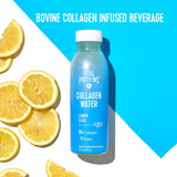 Collagen Water, Original, 10G of Collagen per Bottle, 12 Oz (Pack of 12)