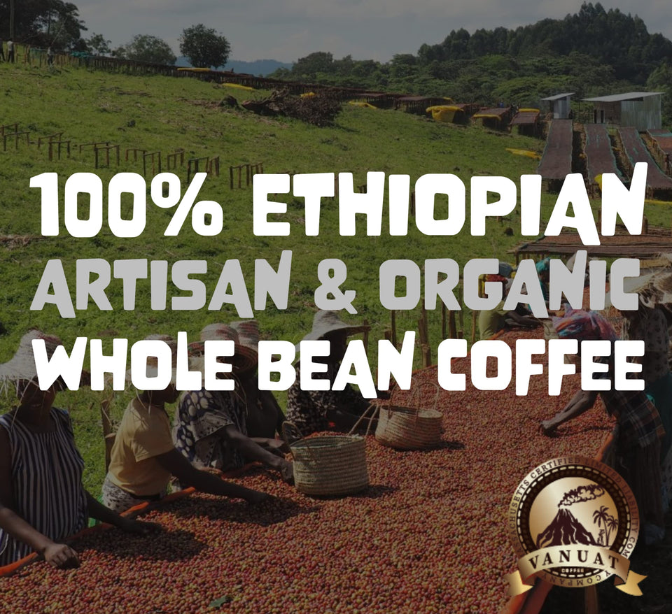 MEDIUM ROAST 16OZ Whole Bean Coffee Volcanic Organic Supreme Finest Artisan Beans for Drip Coffee Cold Brew Espresso French Press Turkish Brew etc (Brazil, 16oz, Medium)