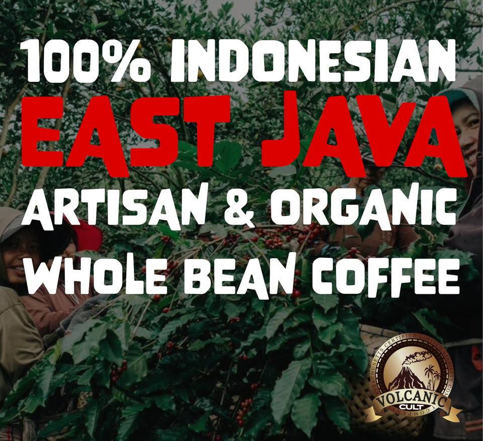 LIGHT ROAST, Whole Bean Coffee, Organic Fresh Artisan Premium Beans, Volcanic Cult Vanuat LLC COLLECTION (1 Pound, 16OZ, EL-SALVADOR)