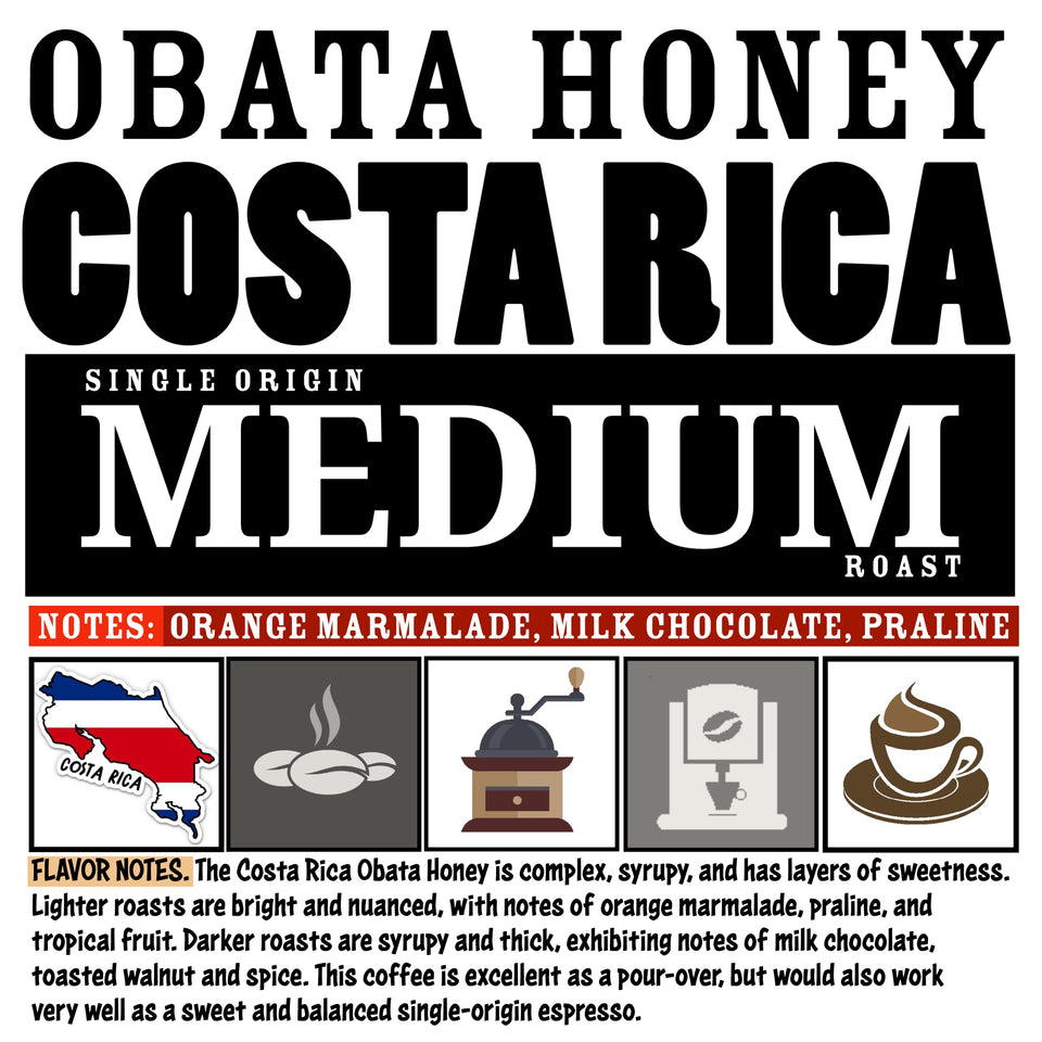 MEDIUM ROAST 16OZ Whole Bean Coffee Volcanic Organic Supreme Finest Artisan Beans for Drip Coffee Cold Brew Espresso French Press Turkish Brew etc (Brazil, 16oz, Medium)