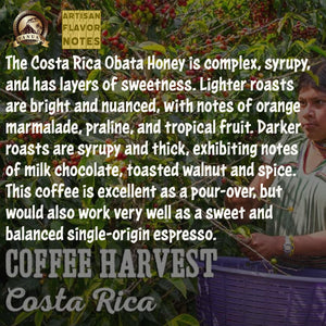 MEDIUM ROAST 16OZ Whole Bean Coffee Volcanic Organic Supreme Finest Artisan Beans for Drip Coffee Cold Brew Espresso French Press Turkish Brew etc (Brazil, 16oz, Medium)