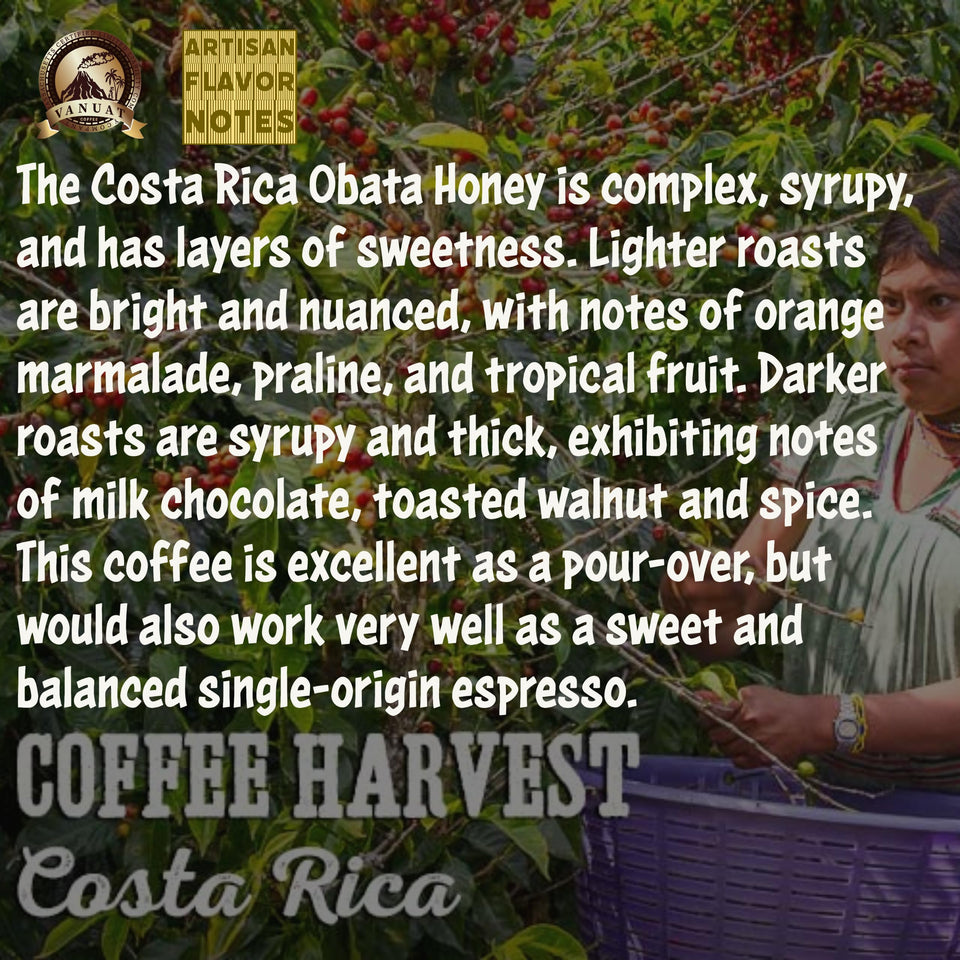 LIGHT ROAST WHOLE BEAN COFFEE SPECIALTY Volcanic Cult Vanuat Organic Supreme Finest Artisan beans. Sourcing premium artisan green specialty beans (Brazil, 16oz | LightROAST)