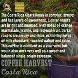 LIGHT ROAST WHOLE BEAN COFFEE SPECIALTY Volcanic Cult Vanuat Organic Supreme Finest Artisan beans. Sourcing premium artisan green specialty beans (Brazil, 16oz | LightROAST)