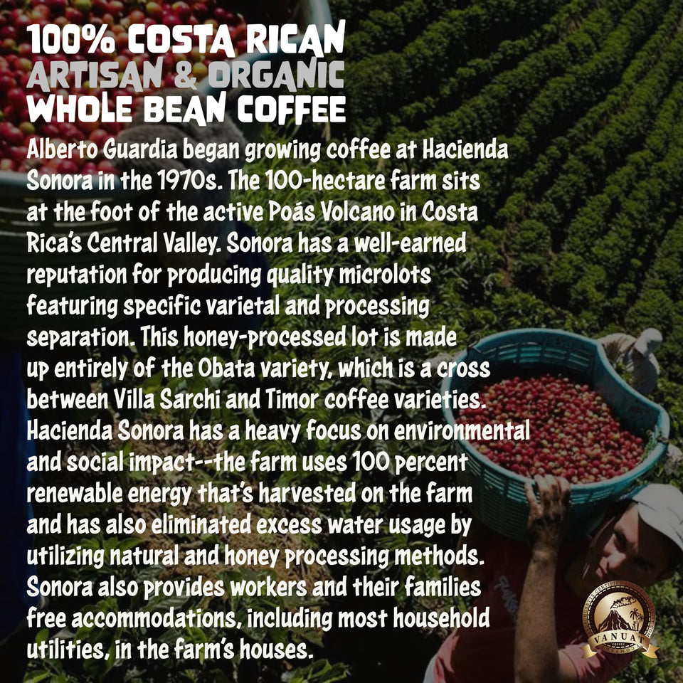 MEDIUM ROAST 16OZ Whole Bean Coffee Volcanic Organic Supreme Finest Artisan Beans for Drip Coffee Cold Brew Espresso French Press Turkish Brew etc (Brazil, 16oz, Medium)