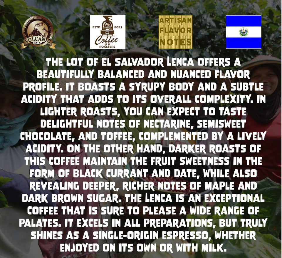 LIGHT ROAST, Whole Bean Coffee, Organic Fresh Artisan Premium Beans, Volcanic Cult Vanuat LLC COLLECTION (1 Pound, 16OZ, EL-SALVADOR)
