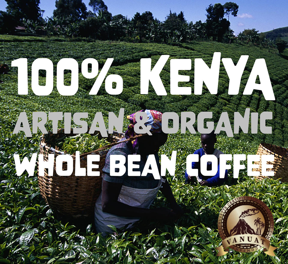 LIGHT ROAST WHOLE BEAN COFFEE SPECIALTY Volcanic Cult Vanuat Organic Supreme Finest Artisan beans. Sourcing premium artisan green specialty beans (Brazil, 16oz | LightROAST)