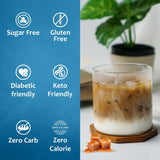 Syruvia Sugar Free Caramel Syrup 25.4 Fl Oz Pack of 3 Zero Calorie Delight