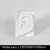 Nordic Model Room Coffee Table Furniture Clothing Store Bookshelf Art Creative Home Decoration