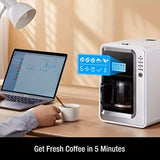 LCD Display, Automatic Drip Coffee Machine With Grind, HAUSWIRT Coffee Maker With Grinder, Grind And Brew Coffee Maker, Compatible For Bean Ground Coffee And Tea