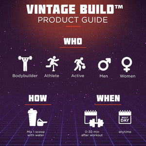 Vintage Build – Post Workout Recovery & Muscle Building Powder Drink for Muscular Strength & Growth - Reduces Soreness – Creatine Monohydrate, Bcaas, L-Glutamine – Fresh Berries Flavor – 377G